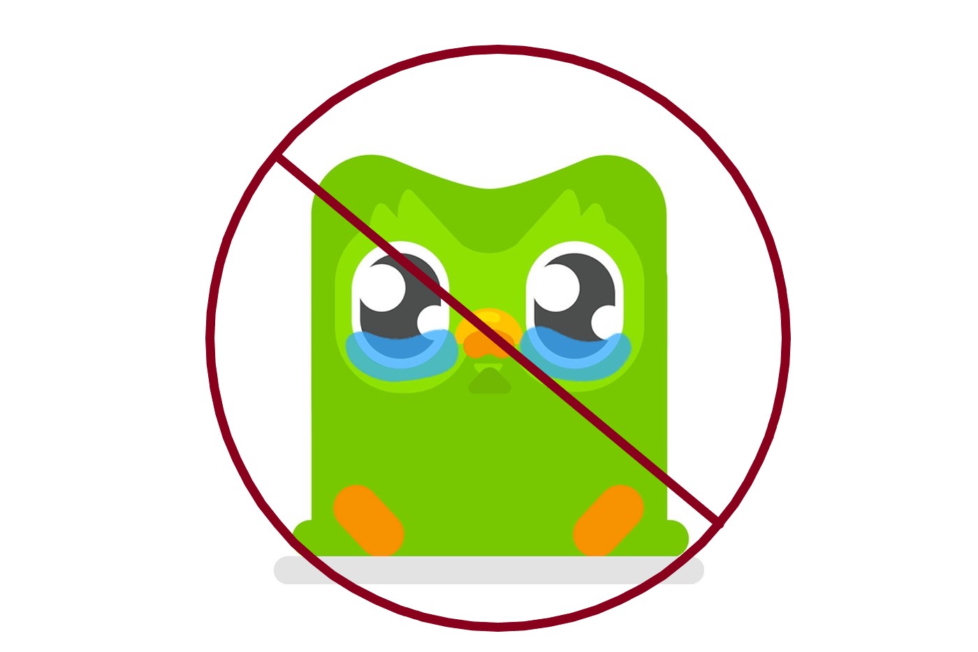 Why I Don’t Recommend Duolingo